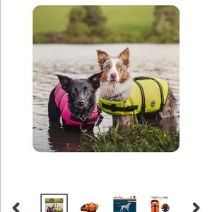 VIVAGLORY Dog Life Vest
